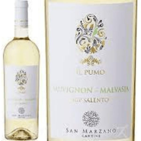 Mua rượu vang Ý Il Pumo Red ở Wine Corner